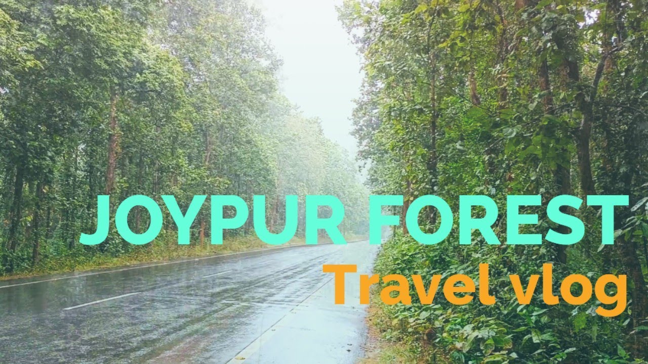 Joypur forest bankura#kolkata to Joypur forest by bike#monsoon bike ride (part 1)@dipexpress2838