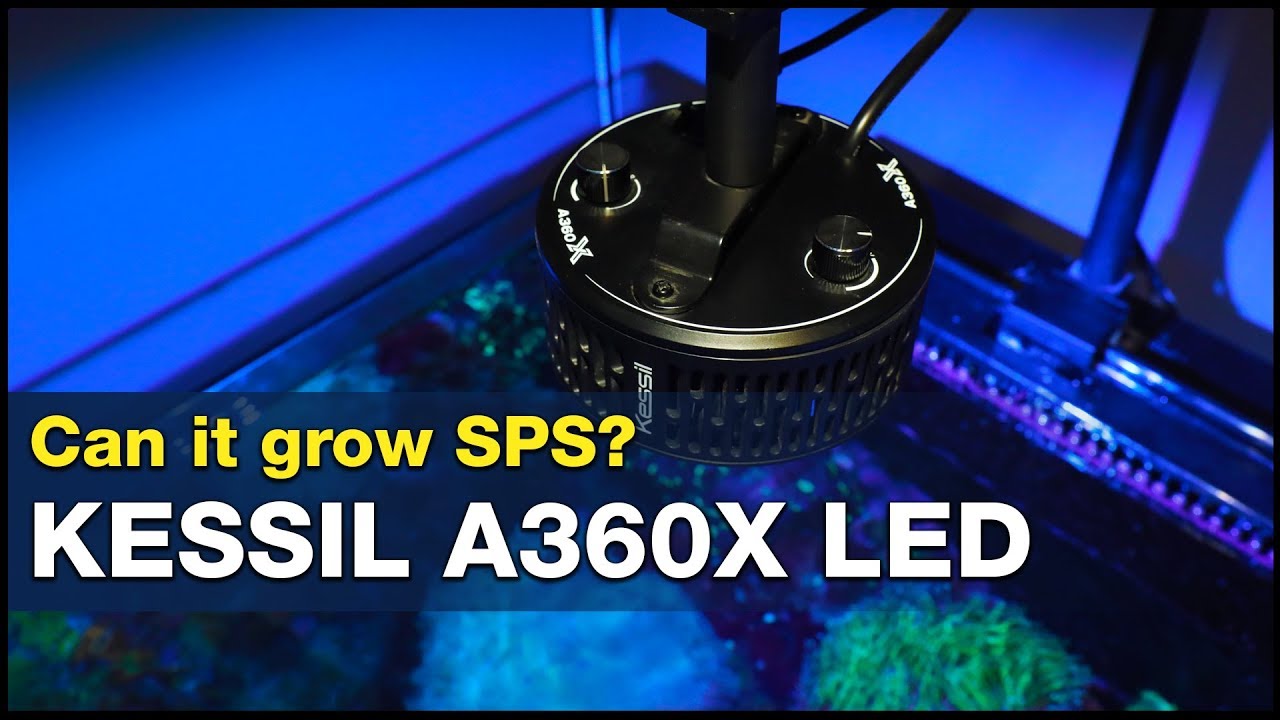 Will Kessil's 360x small footprint = small PAR output? Not if you set them up like this!