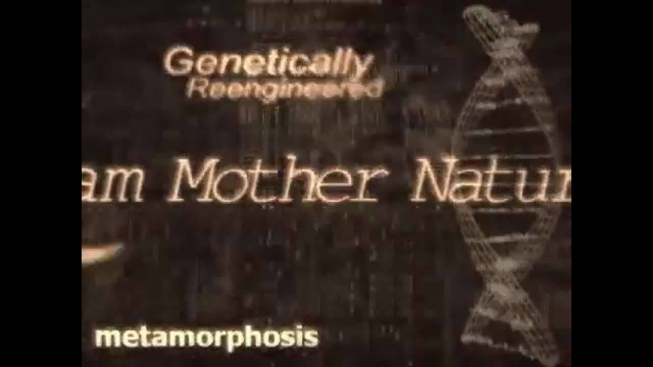 SiN Intro (1998, Ritual Entertainment)