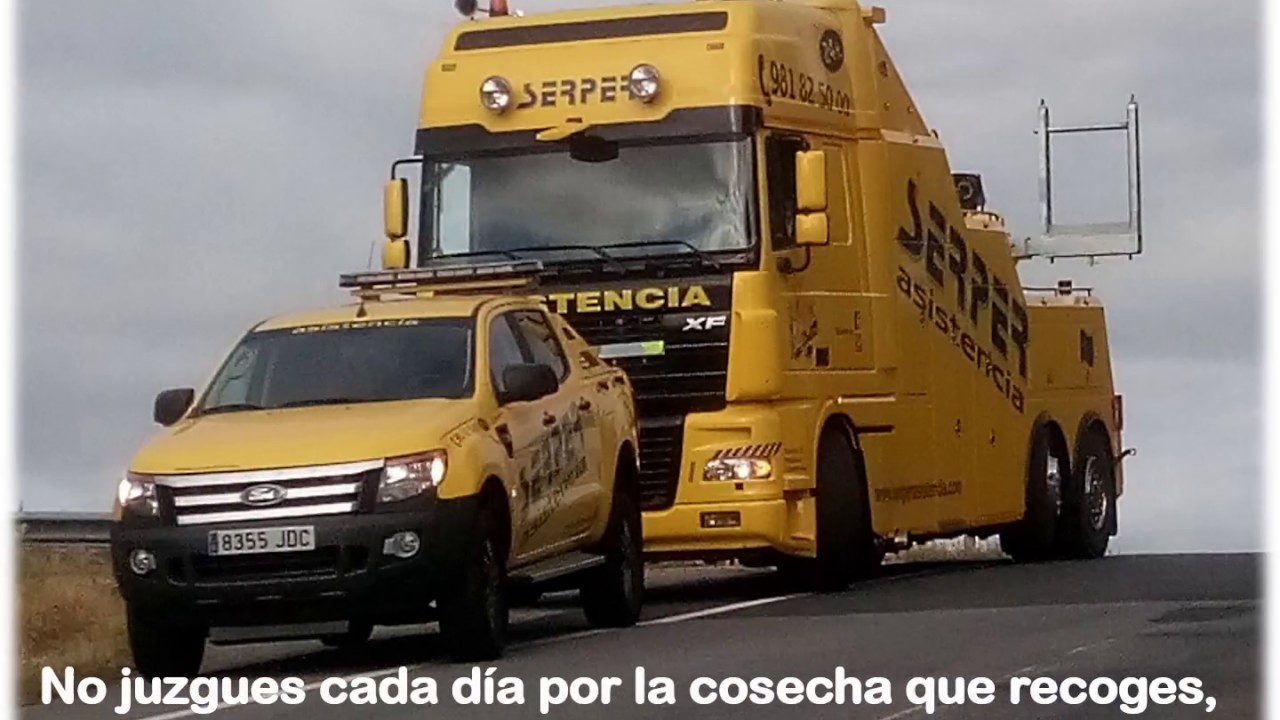 SERPER ASISTENCIA