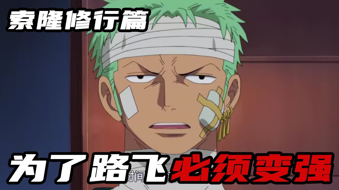 【海贼王索隆传】为了路飞必须变强！索隆下跪求鹰眼教自己！鹰眼的反应亮了