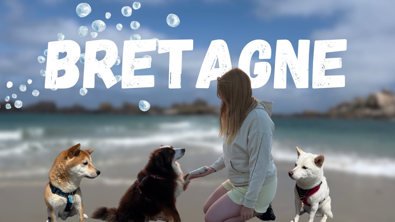 TRAVEL VLOG avec mes chiens - BRETAGNE (partie 2) 🩵