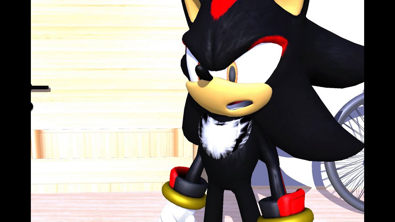 Shadow The Hedgehog Unpleasant Visit
