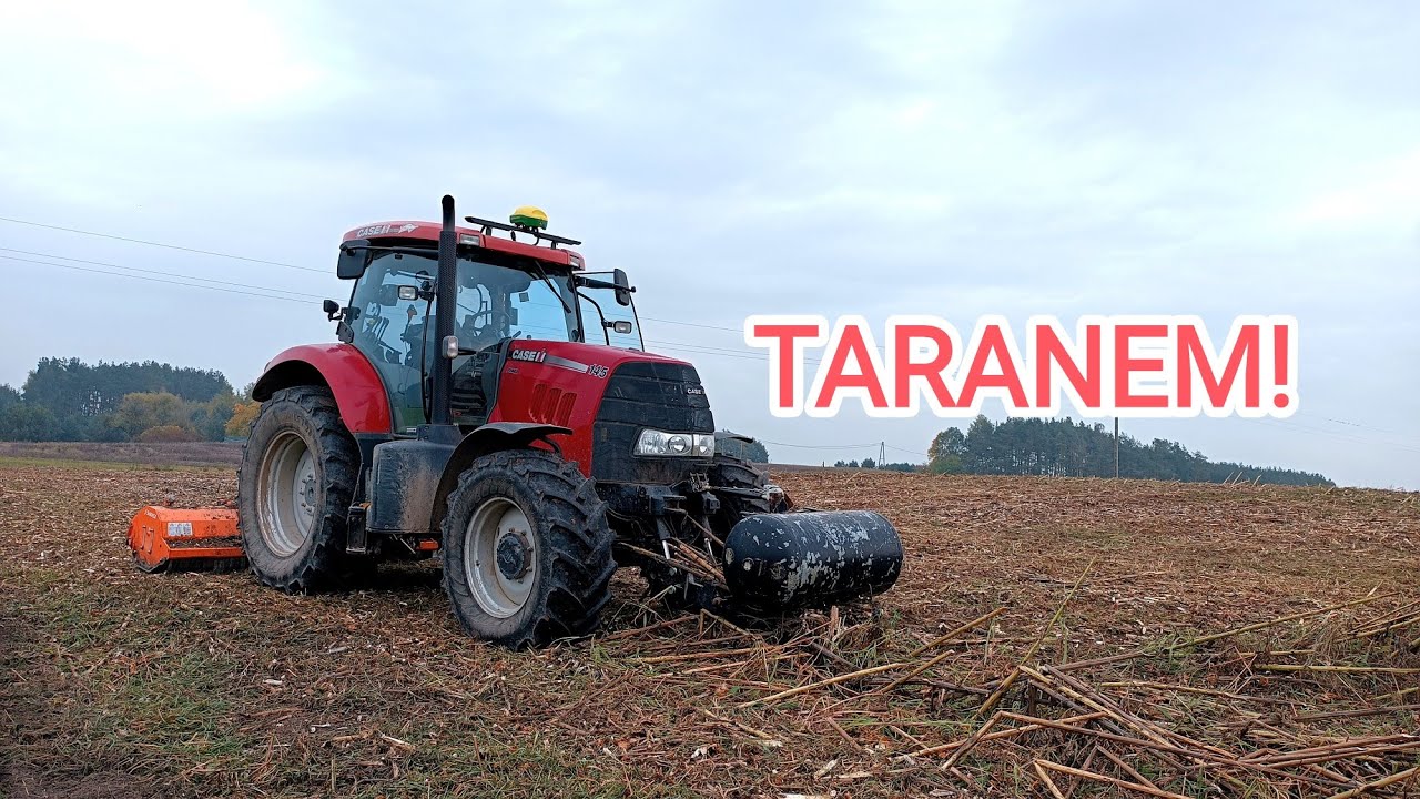 Taranem w ściernisko po słoneczniku! Późne siewy żyta hybrydowego - jaki plan na tą działkę?🤠