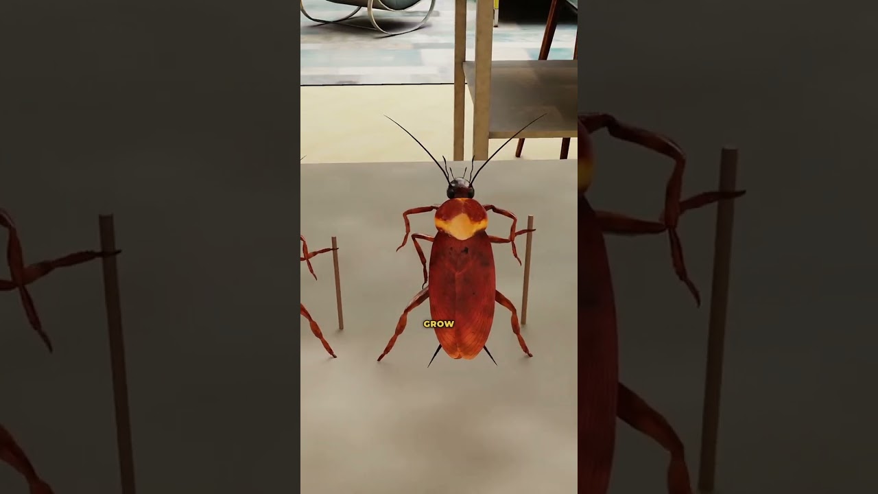 How Do Cockroaches Survive Everything?