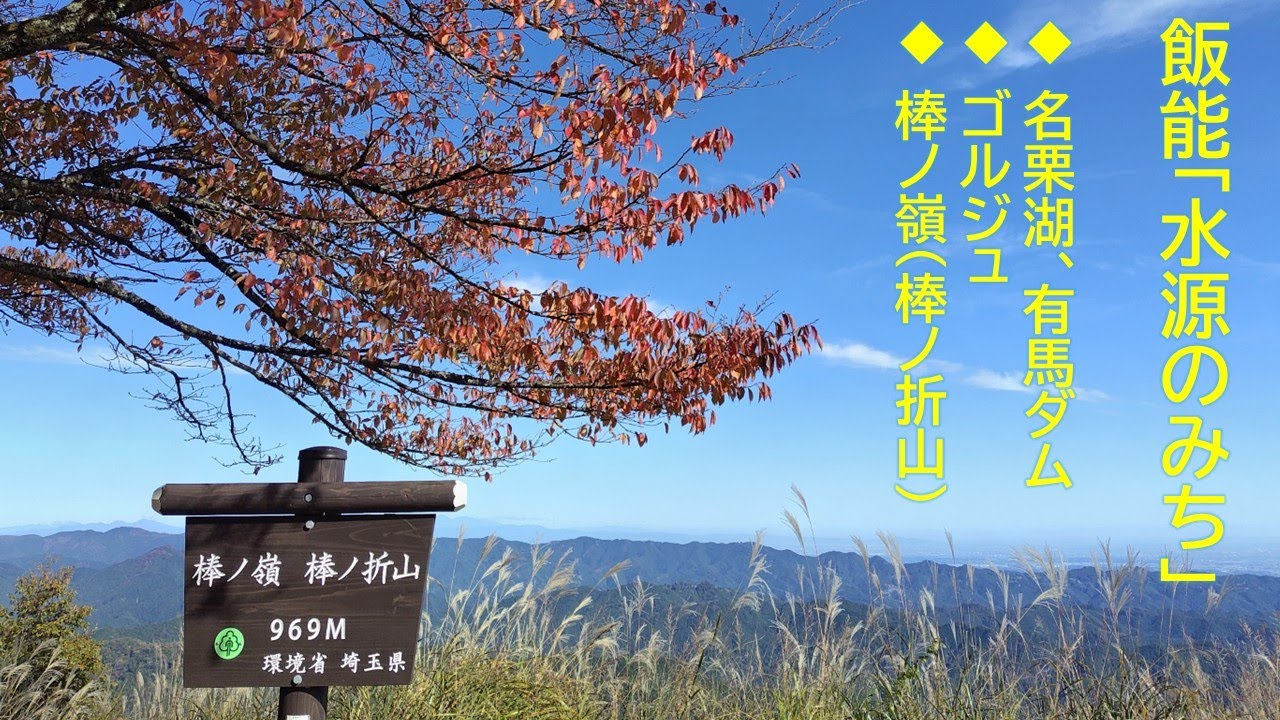 【旅ログ】飯能「水源のみち」（棒ノ嶺・棒ノ折山登山）