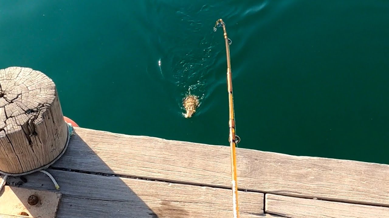 حداق بوناصر العمر الرحلة البحرية والبرية الخيران 🎣 وجليعة 🍀🌻من ٢/٢٤إلى ٢٠٢٣/٣/٢م ( العيد الوطني 🇰🇼 )