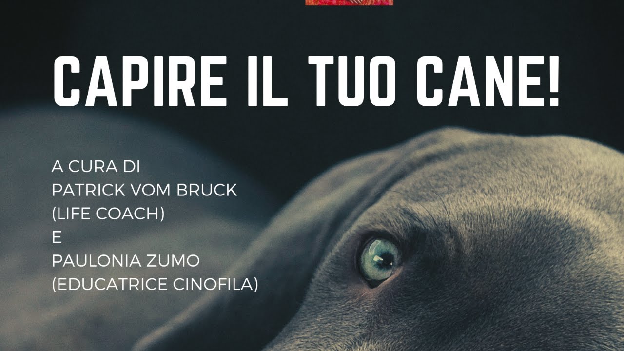 CAPIRE IL TUO CANE!