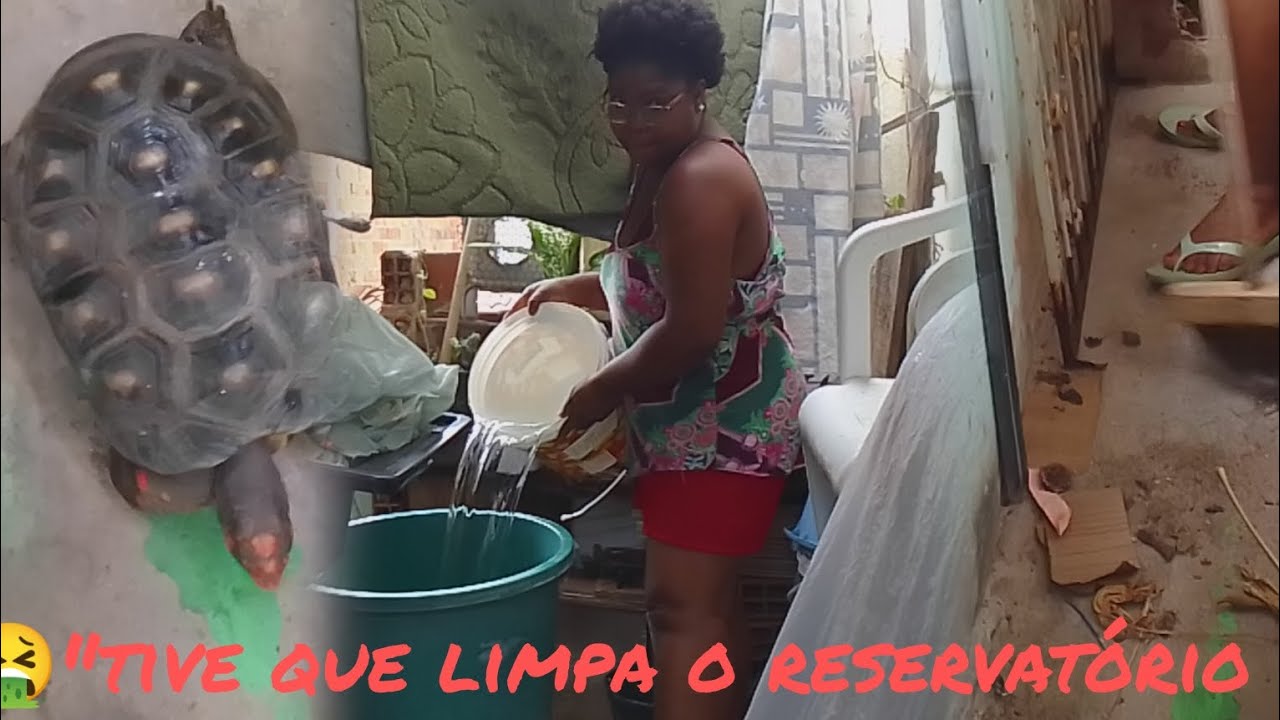 Organização na Área, reservatório cheio e Almoço feito com Amor 🏠✨