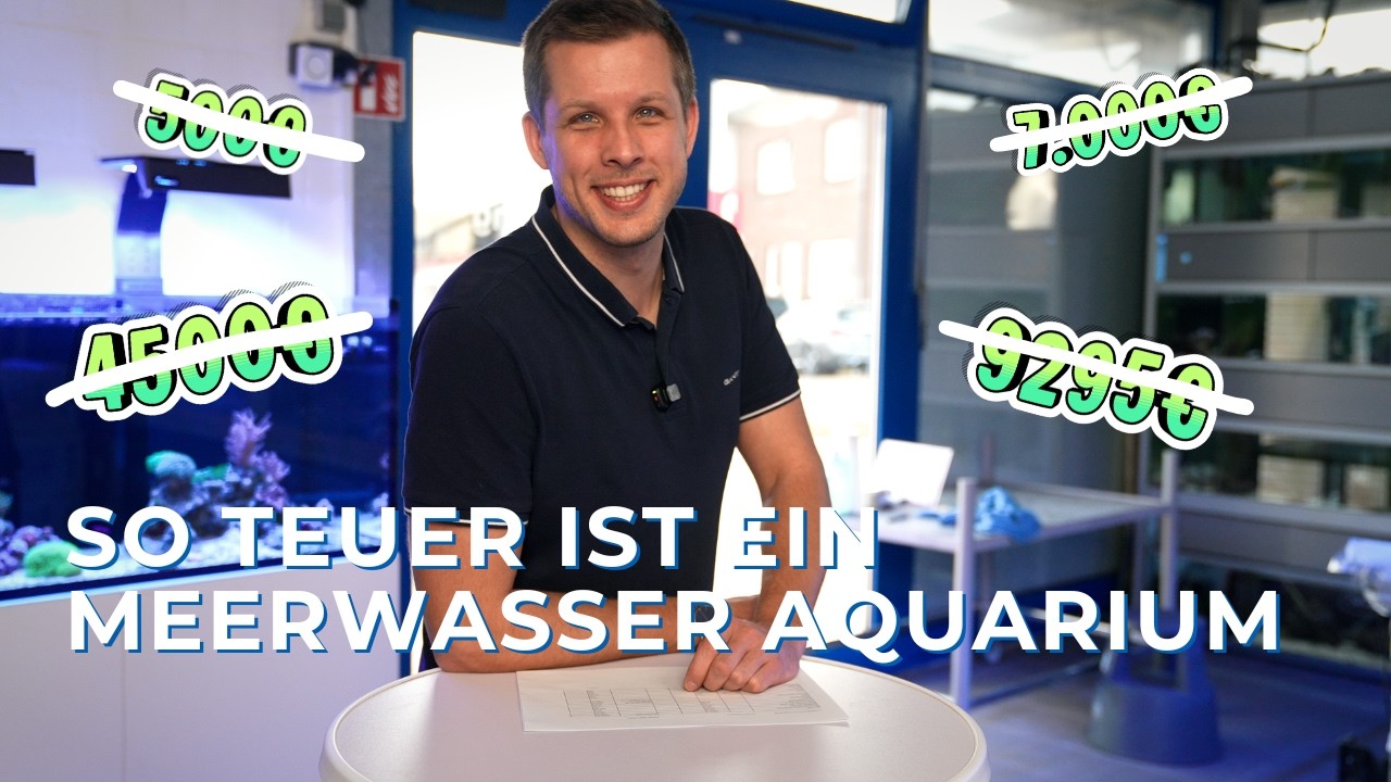 Teil 17: Gesamtkosten f&uuml;r ein hochwertiges Komplett-Aquarium inkl. Fische, Riffaufbau & Korallen