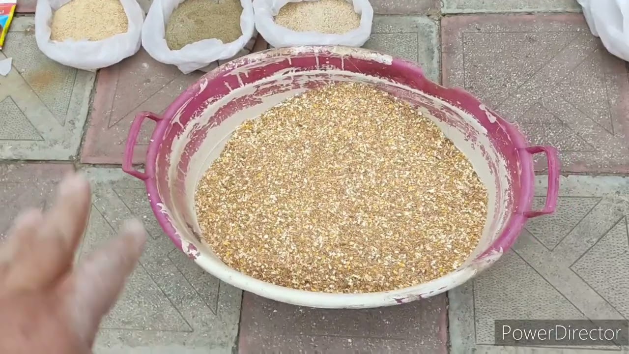 Çolpalarin sürətli inkişafı üçün yem qarisigi
