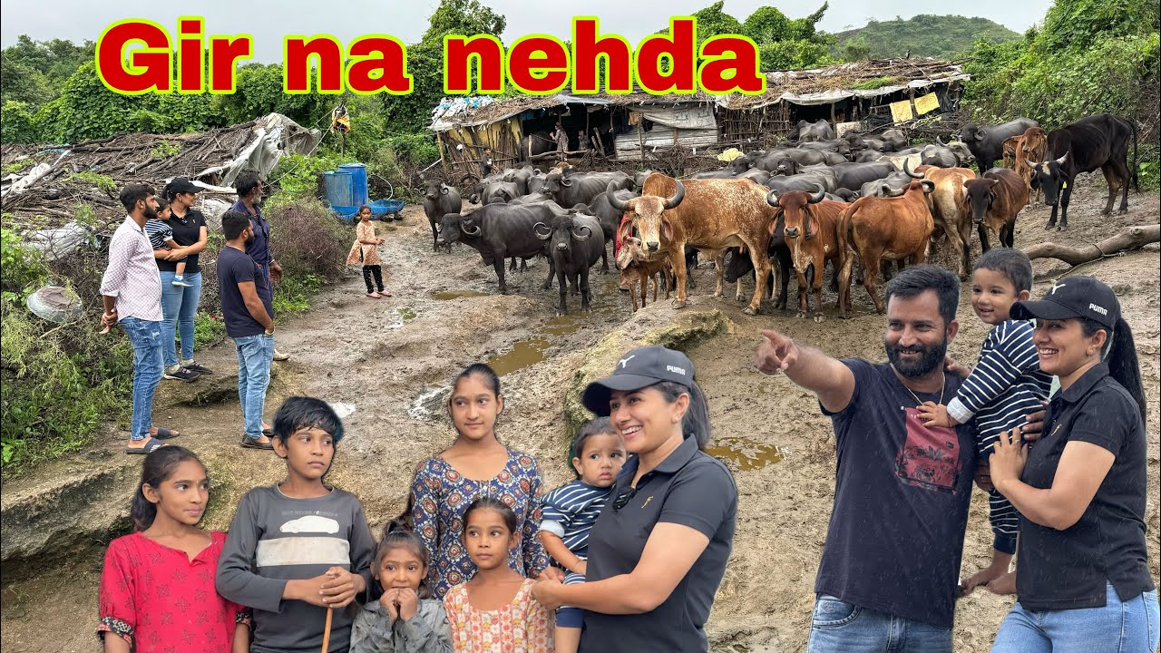 Jungle me log kese rehte hai lifetime / life of people in gir nehda #nehda