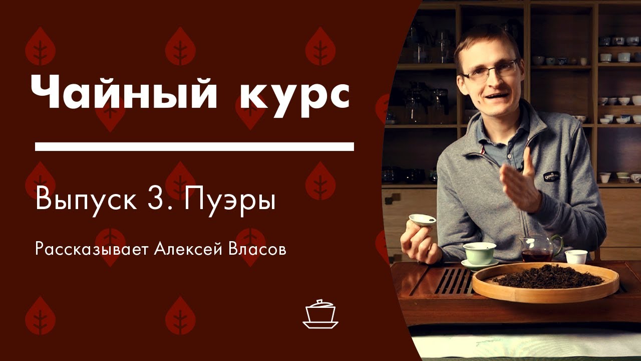 Пуэр: как заваривать, шэн и шу пуэр, технология | Чайный курс от Art of Tea, лекция 3