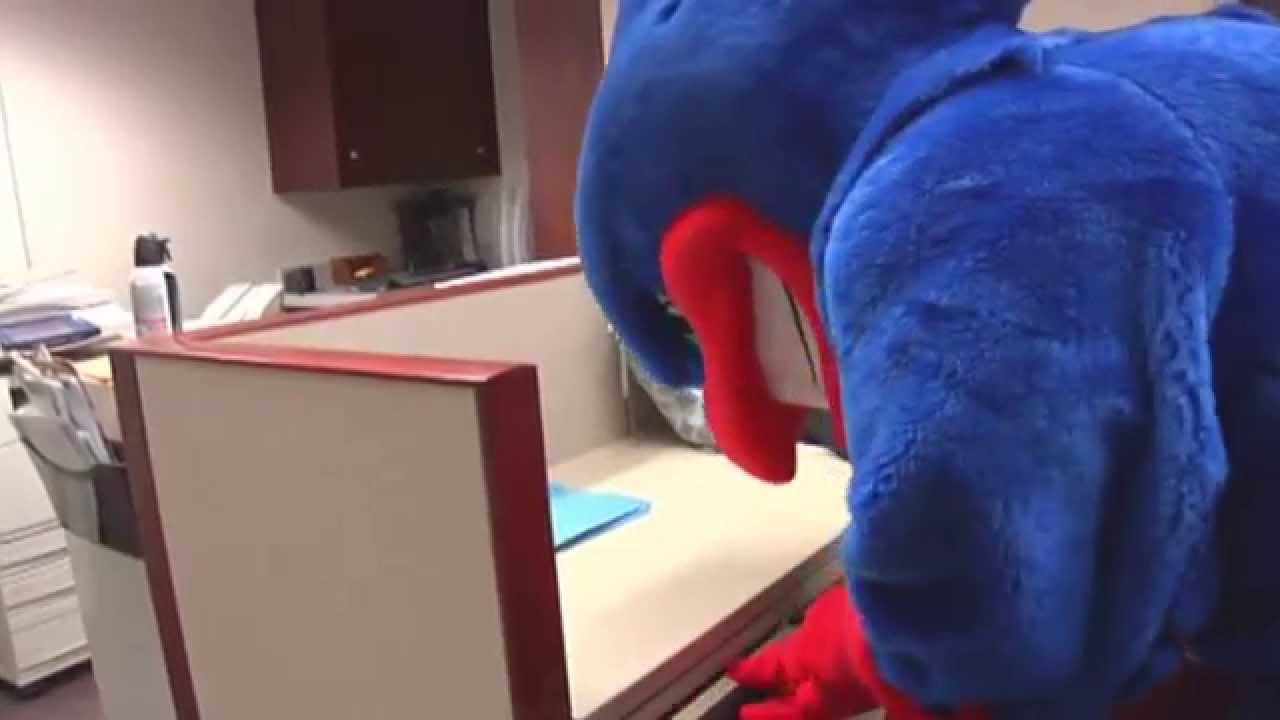 Happy Holidays from the River Hawks - 2012