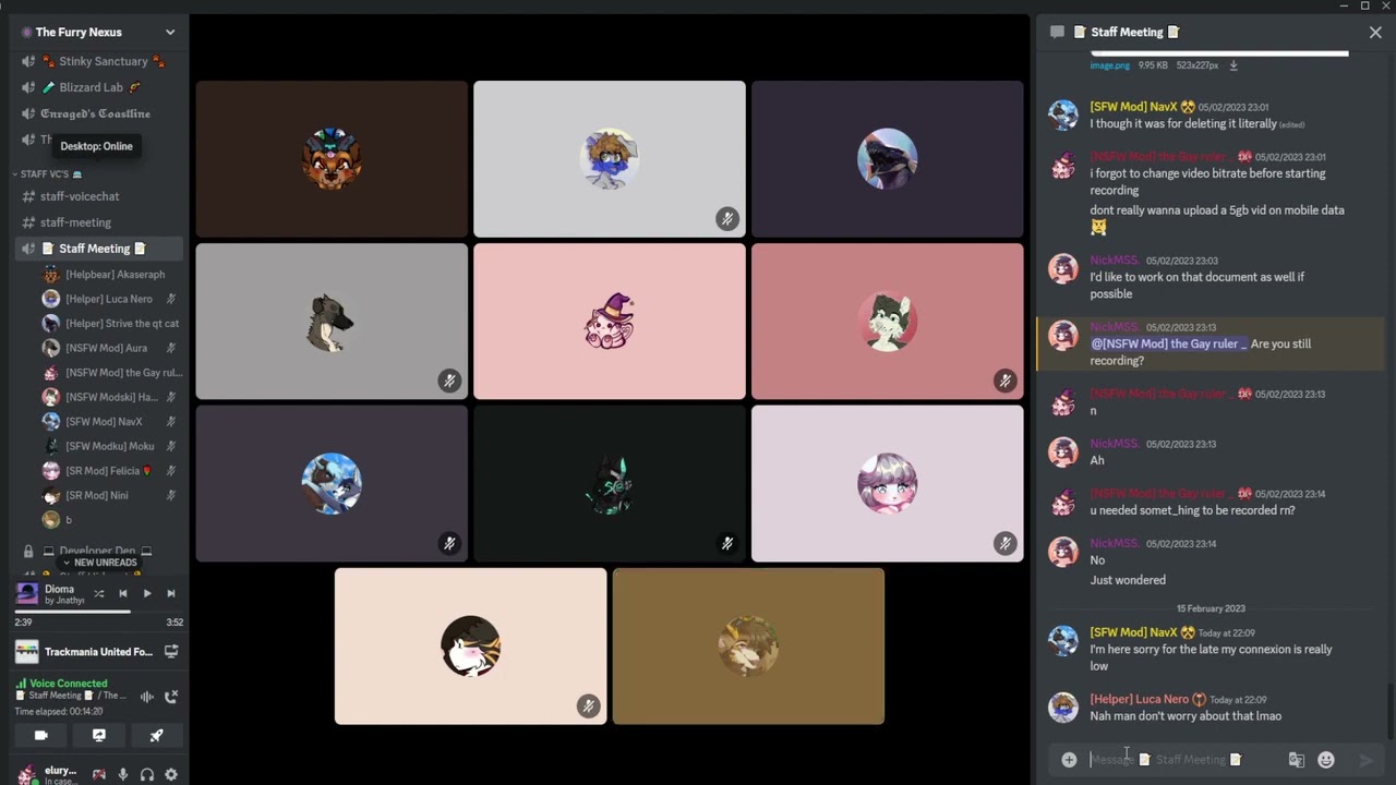 The Furry Nexus (TFN Discord) Staff Meeting 15 02 2023