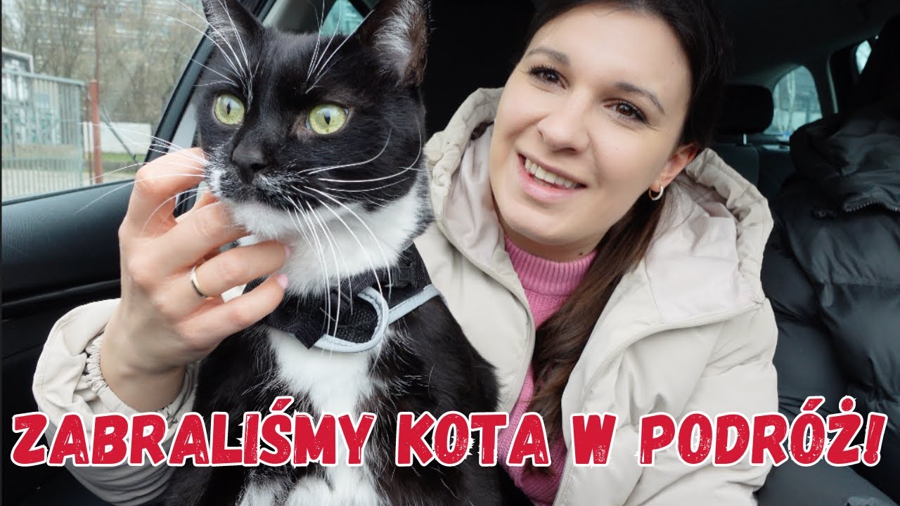 KOT W PODRÓŻY | MĄŻ ROBI TURECKIE TANTUNI | VLOG