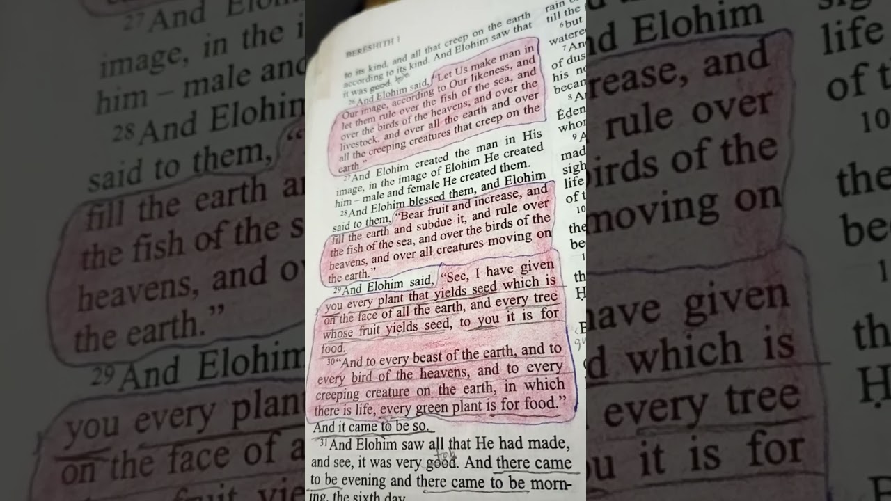 Bereshiyth / Genesis 1:26-28. (part 7 of 9.)