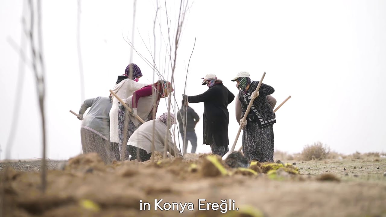Doğa Koruma Vakfı & Yves Rocher Vakfı Ortak Projesi: Rüzgar Perdesi Oluşturma 🌳