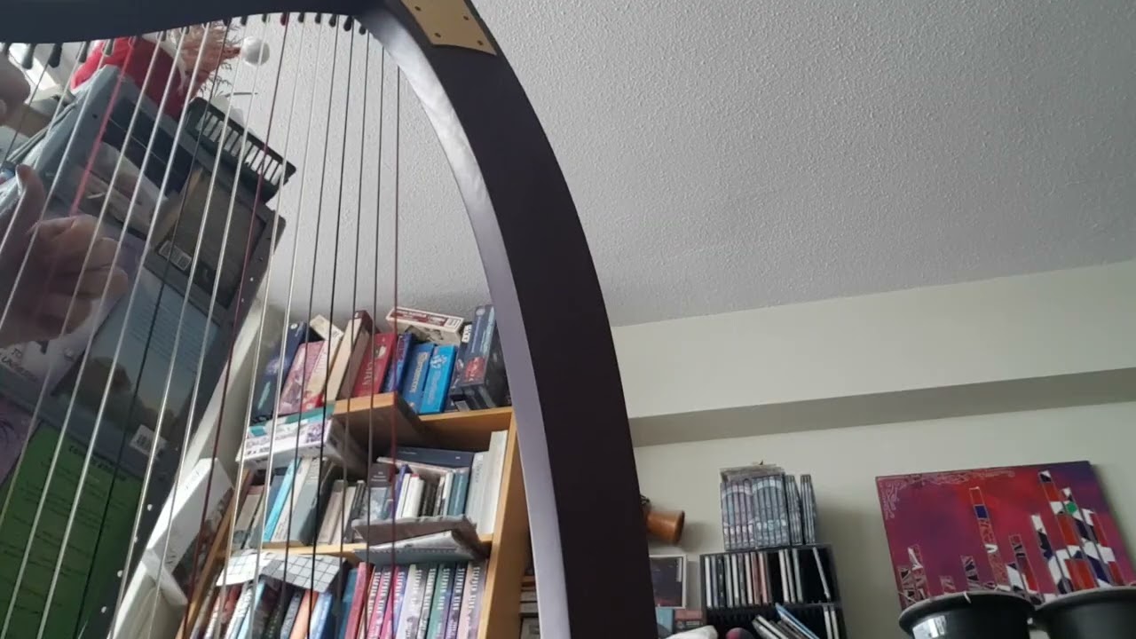 Clinging Mist: Improv 2,415 (Ogden lever harp)