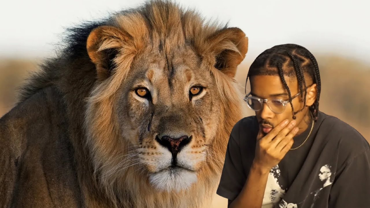 Animals I Can BEAT In A Fight..