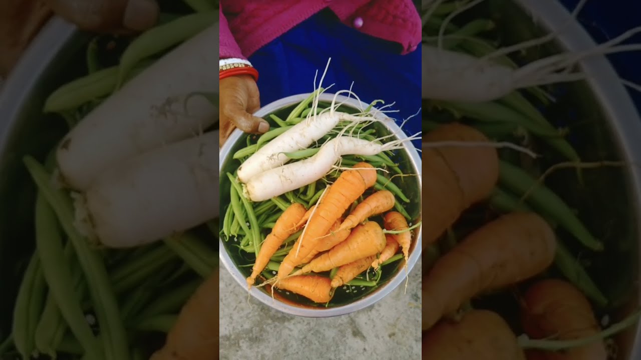 Today Perfect Winter Harvest ☺️/घर की छत से मिली सब्जियों की बंपर हार्वेस्टिंग 🍆🍅😱