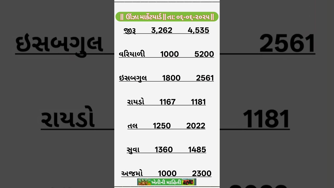 Apmc Unjha Market Yard | Unjha Market Yard rate today | Unjha Mandi Bhav | Unjha mandi jeera bhav