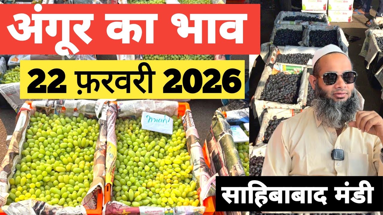 22 February 2026 🍇 अंगूर का भाव साहिबाबाद मंडी | today grapes rates in sahibabad mandi delhi NCR