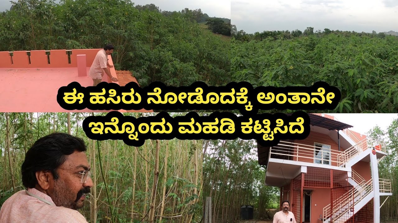 ತೋಟದ ತುಂಬಾ ಹಸಿರು ಹಾಗೂ ಪಕ್ಷಿಗಳ ಕಲರವ...ಅದ್ಭುತ  ಇದೆಲ್ಲವೂ ಒಂದು ವರ್ಷದಲ್ಲೇ ಸಾಧ್ಯ ಆಗಿದ್ದು ತಮ್ಮಯ್ಯ ಗುರುಗಳಿಂದ