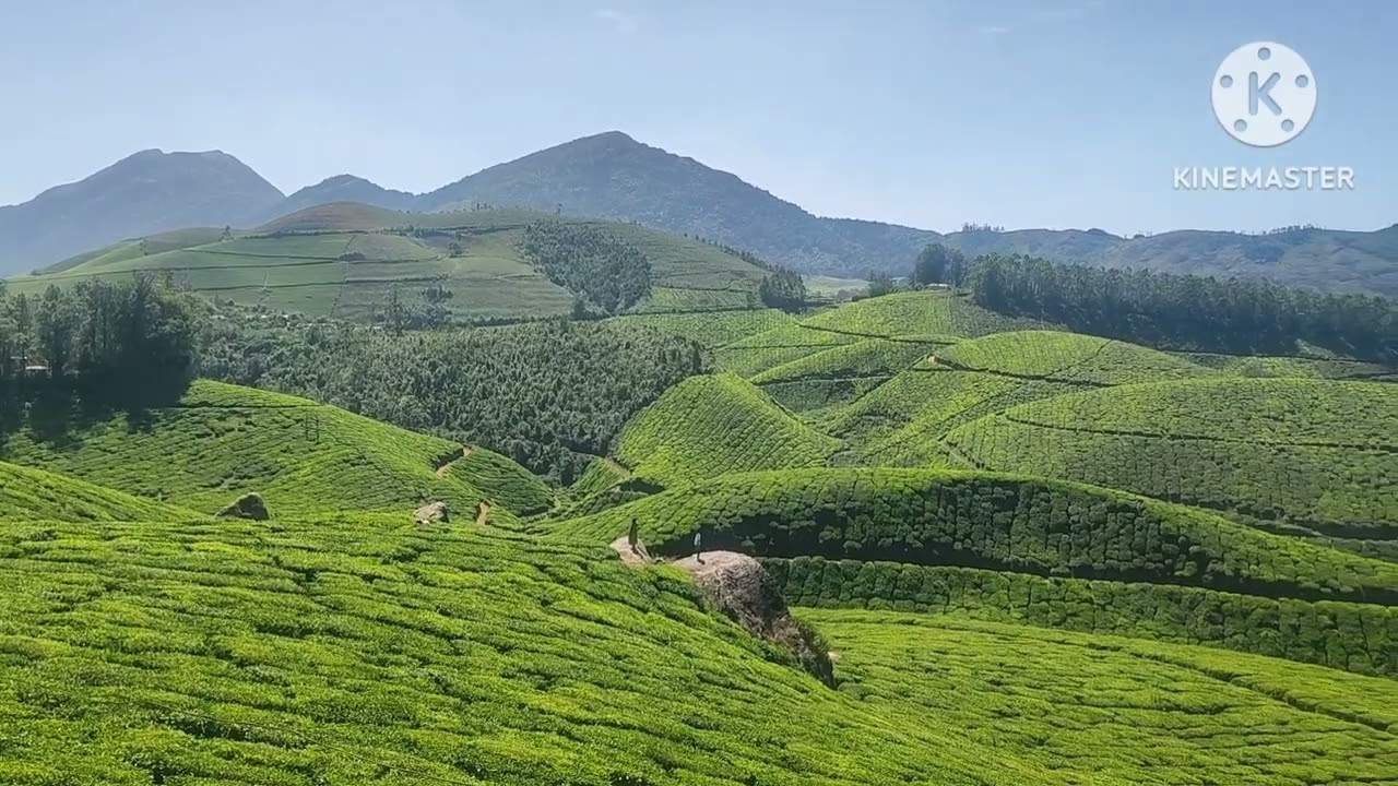 Scenic view of Munnar in January