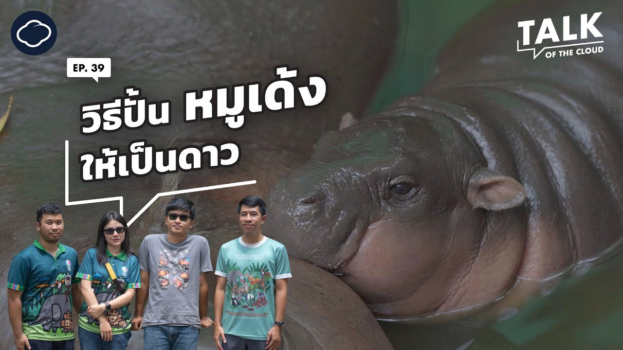 [Eng sub] อธิบายปรากฏการณ์หมูเด้ง เปิดตัว 4 แอดมินเพจแห่งสวนสัตว์เปิดเขาเขียว | Talk of The Cloud