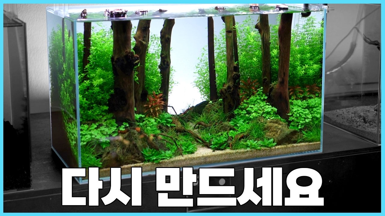 미완성인데 팔려버린 수초어항