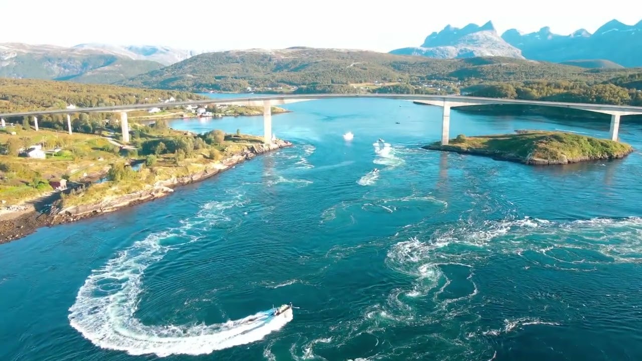 Legevaktkonferansen, episode 4. Ribsafari