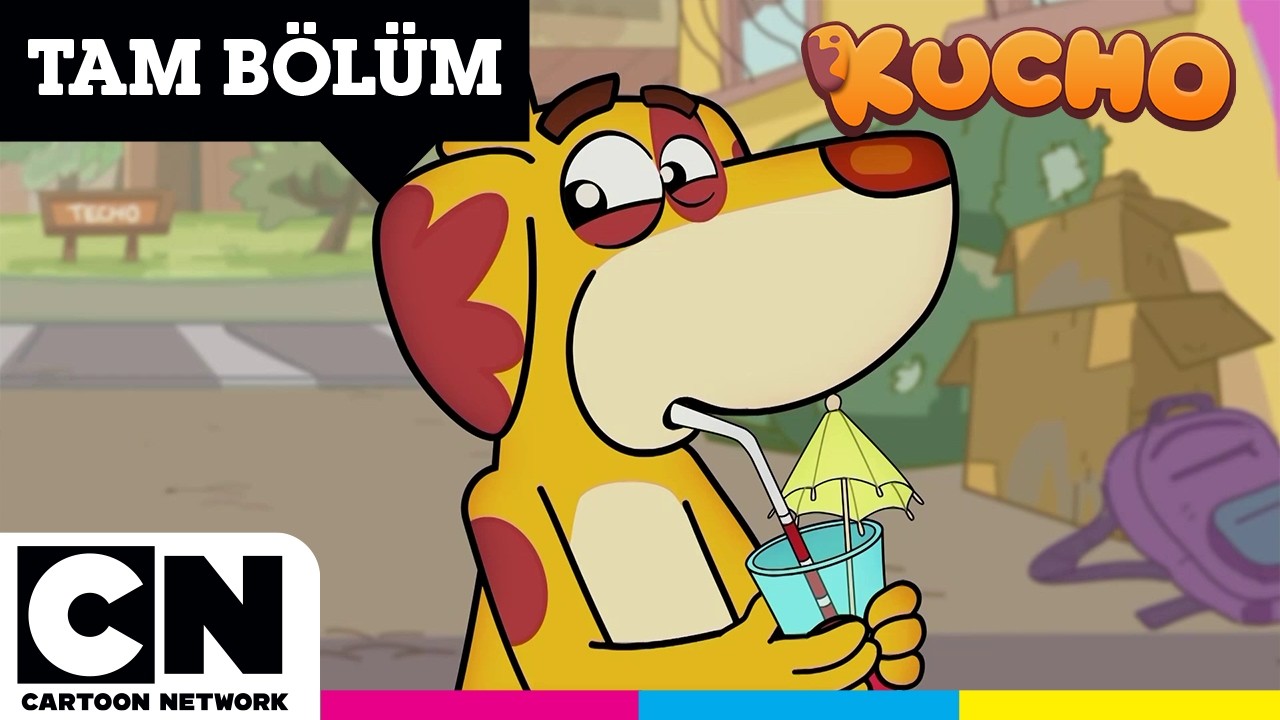KUCHO | Festival Zamanı | TAM BÖLÜM | @cartoonnetworkturkiye