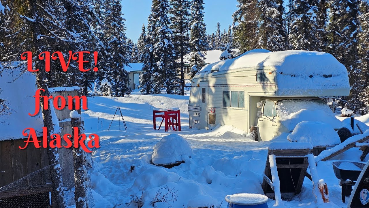 LIVE! from Alaska