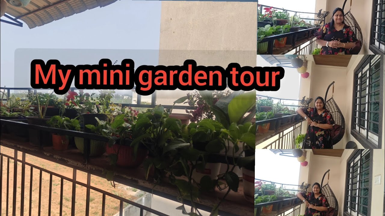 My mini garden tour 😍#lavanyaskitchenandvlogs#balconygarden#viralvideos#trending 