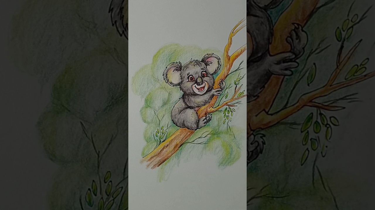 Drawing with colored pencils - Coala Bear 