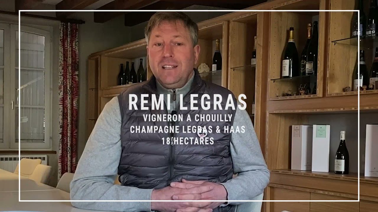 Vignes semi-larges : la parole aux vignerons champenois