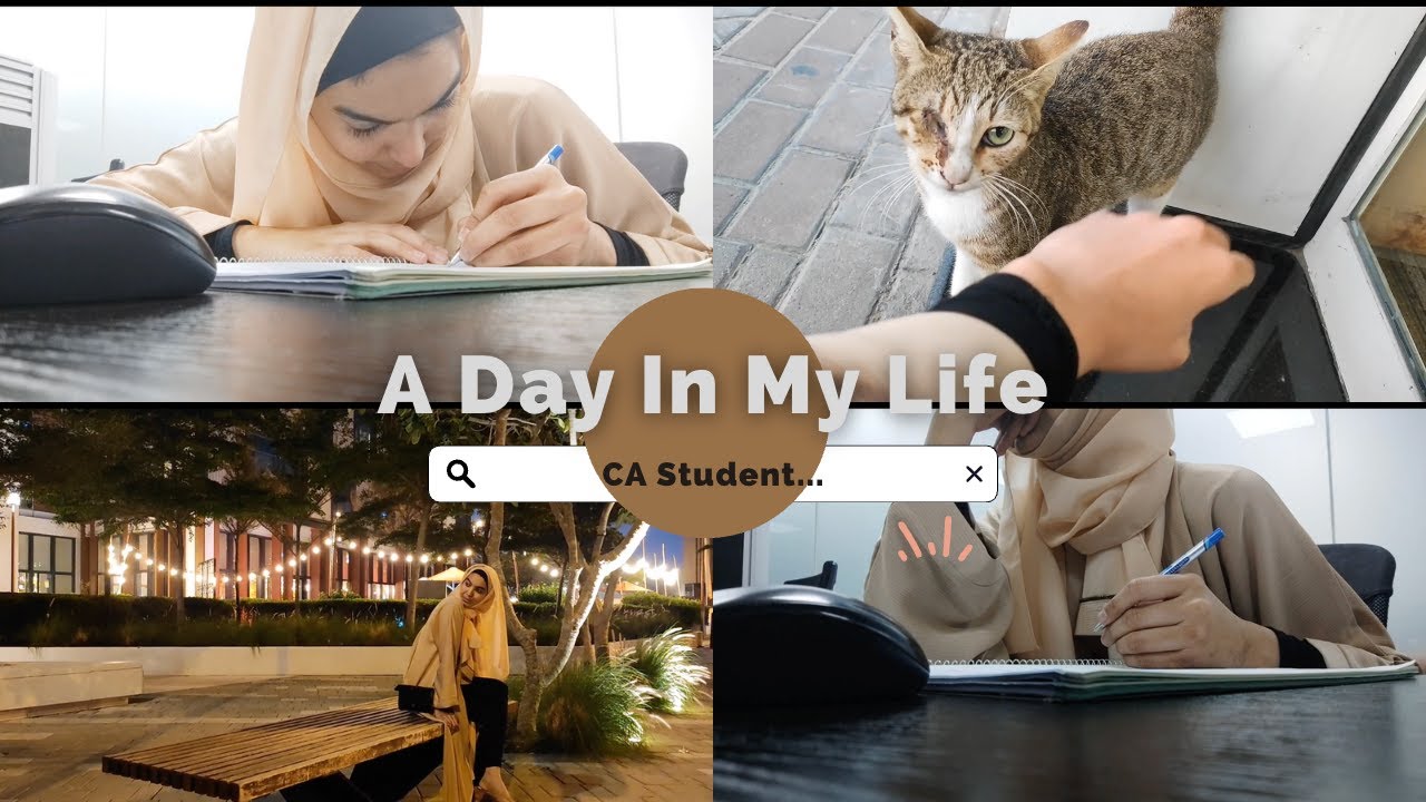 A day in CA student life Diaries | Articleship | Clients Visit | Dubai
