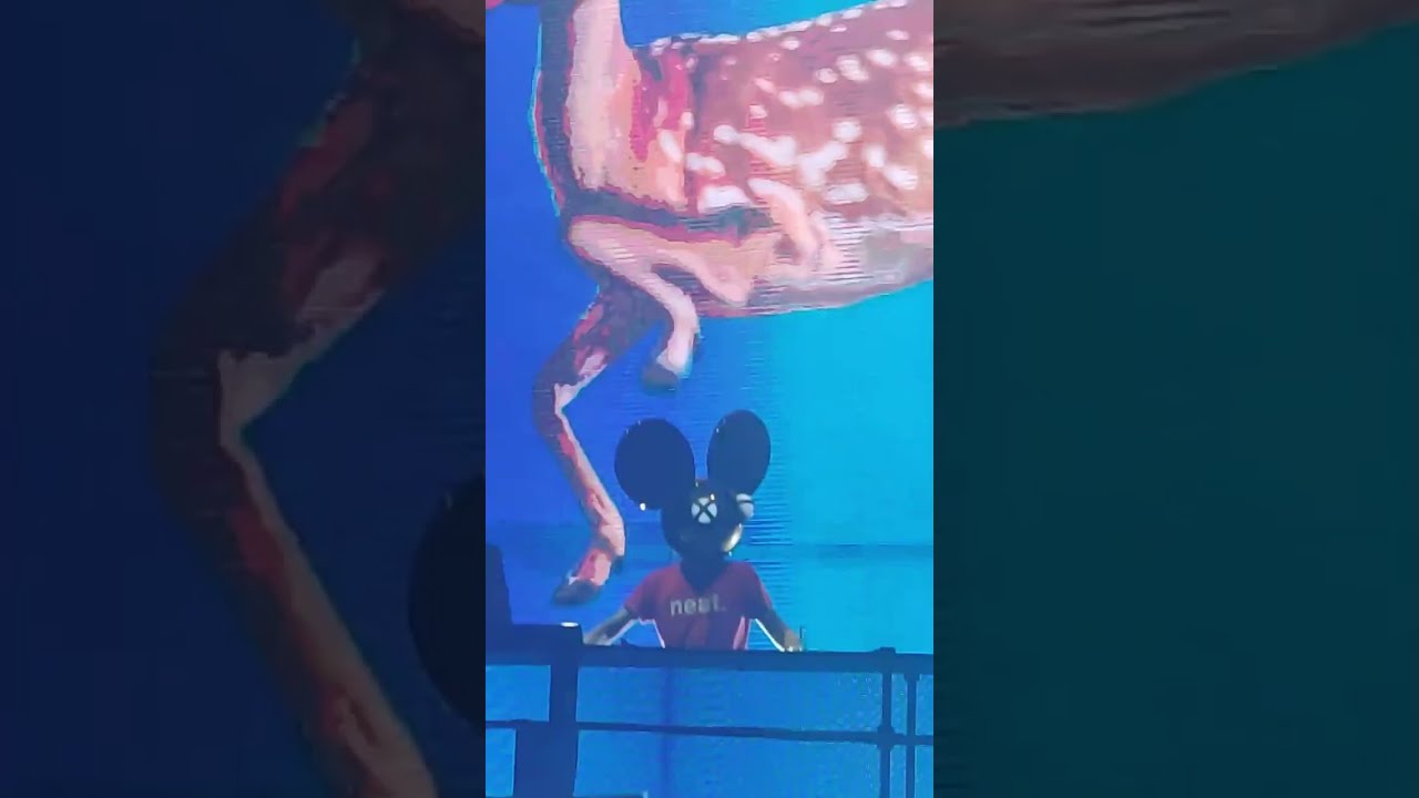 Deadmau5 - Laroc Club - 2022 - Valinhos - SP 9:16