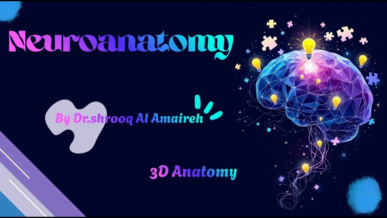 Neuroanatomy Lecture 3 part 1