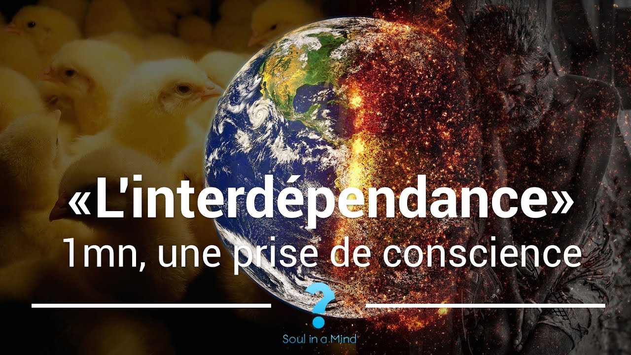 1mn, une prise de conscience : l'Interd&eacute;pendance