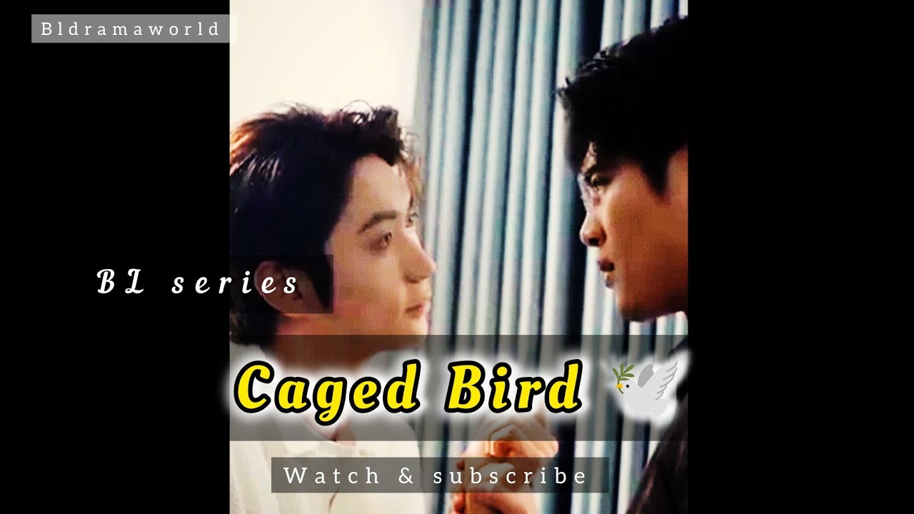 [ BL ] Caged Bird [ EPI 1 - 5 ] | After 10 years later he finds his Ex has come as step mom.
