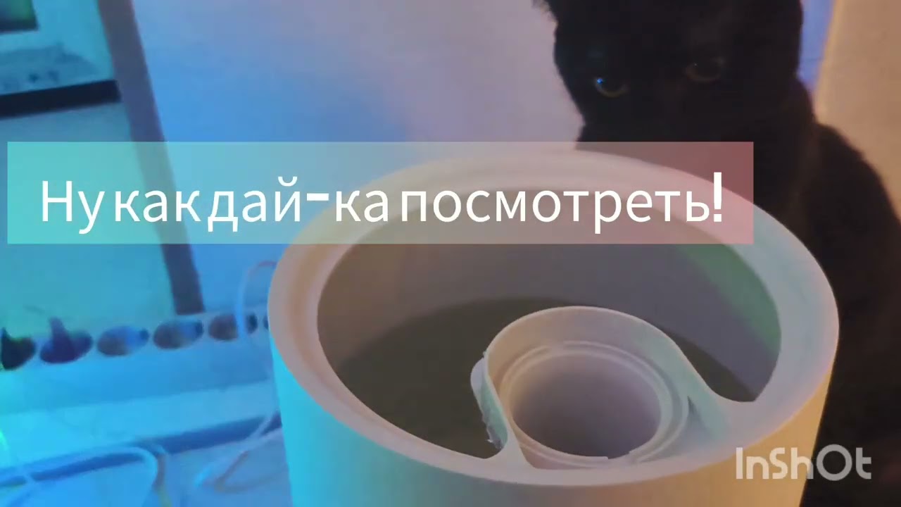Обзор увлажнителя воздуха Kitfort KT-2833