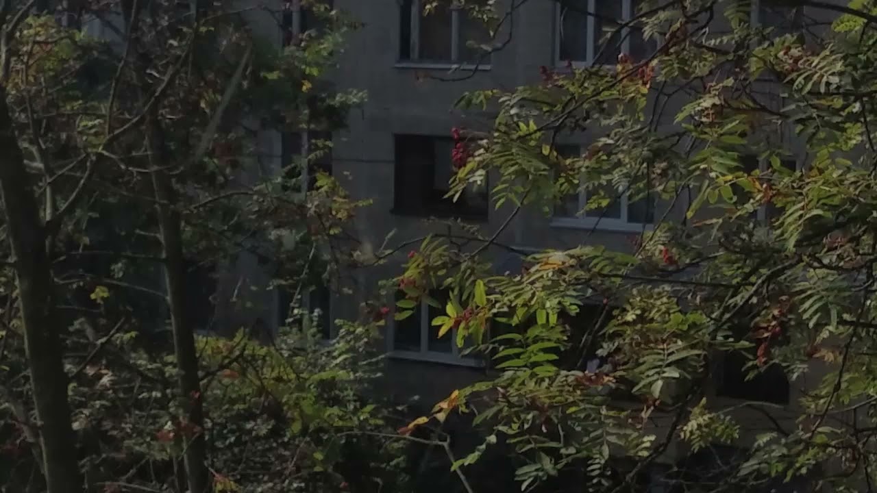 バニーパーティで壊れた私