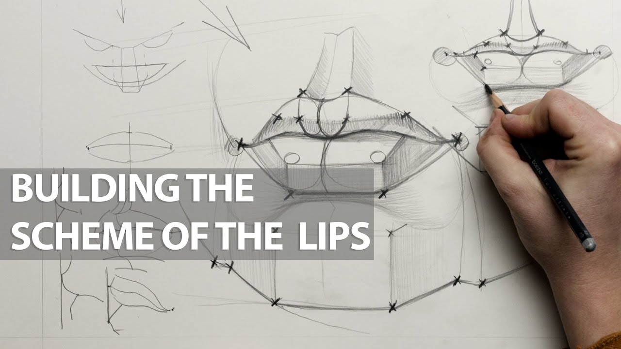 Constructive drawing , Building the scheme of the lips