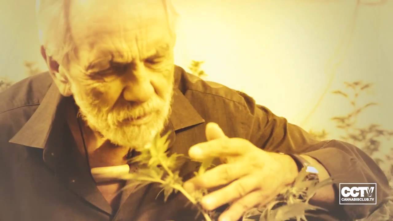 Tommy Chong in Paradise