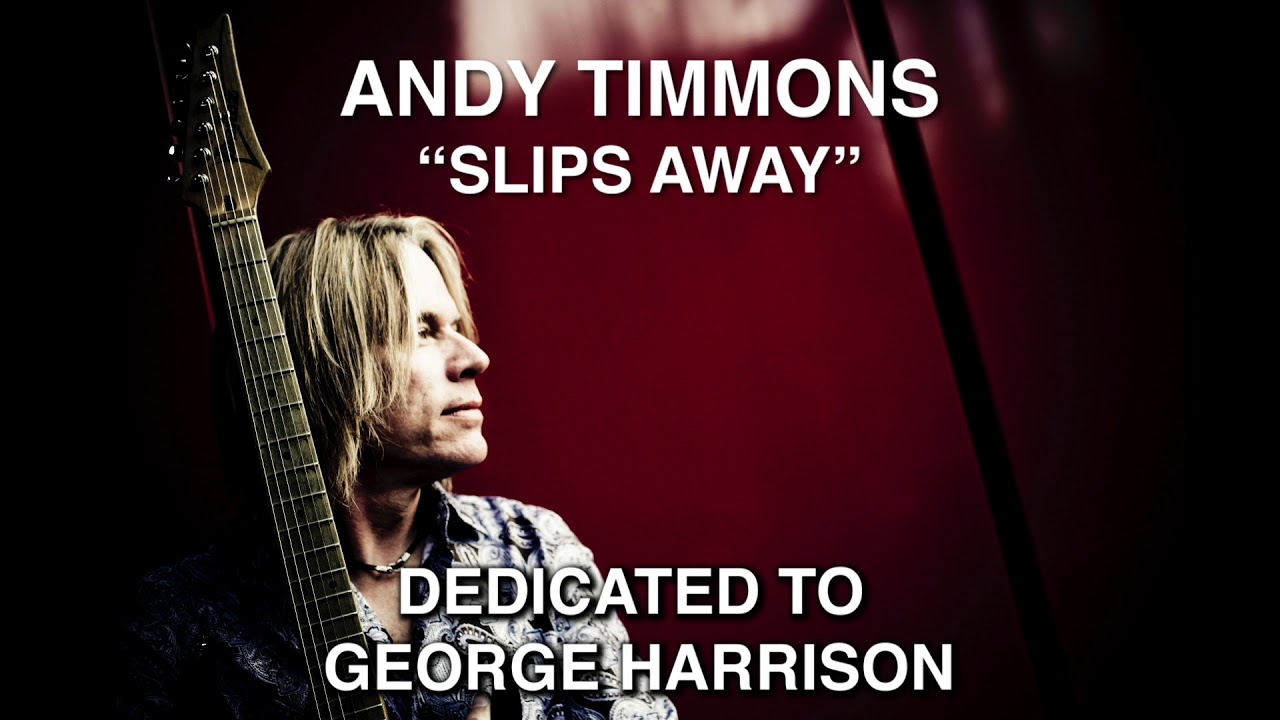 Andy Timmons - 