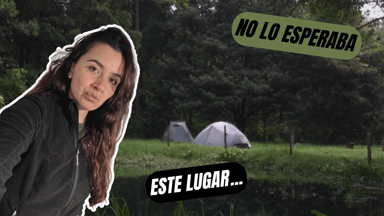 A veces solo necesitas irte al bosque