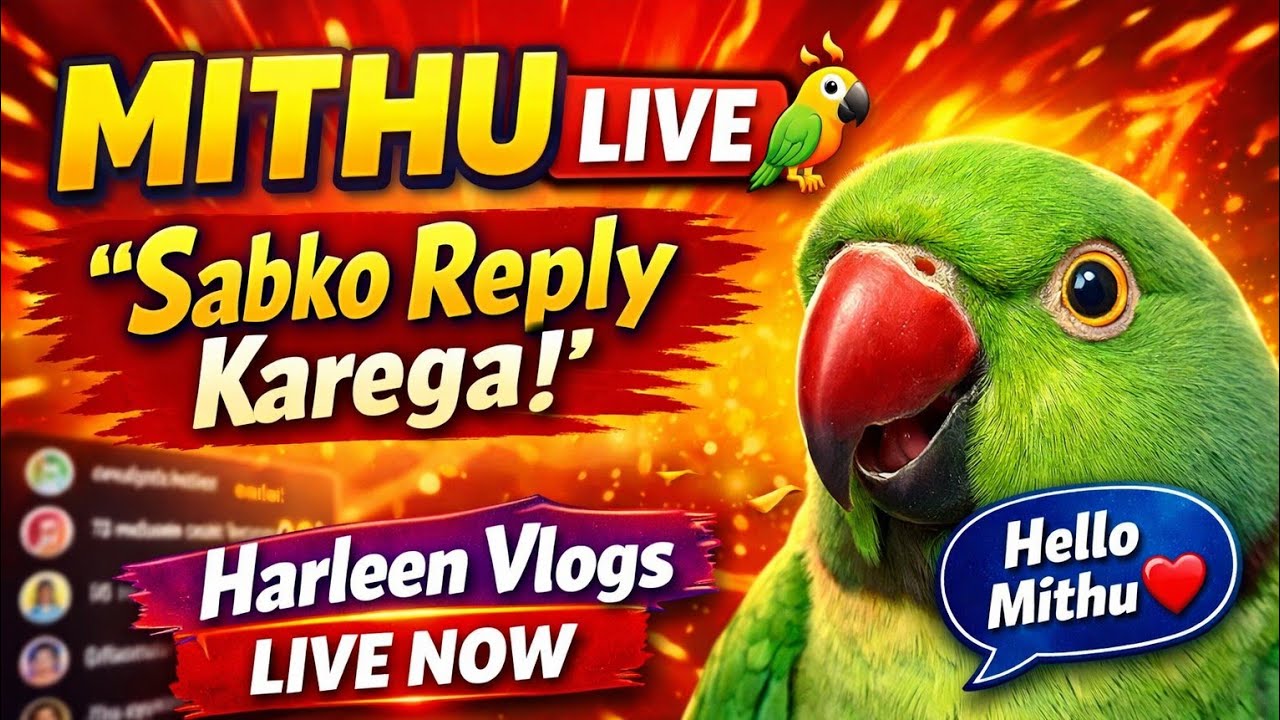 Mithu Live 🦜 | Harleen Vlogs Live Stream | Funny Talking Parrot Live Show | Family Fun Live