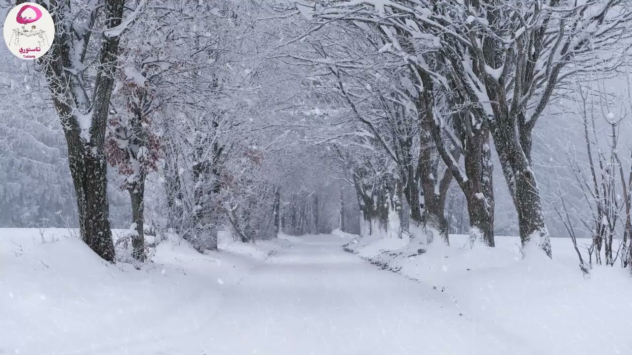 زوجات هاربات !! قصص سورية حقيقية
